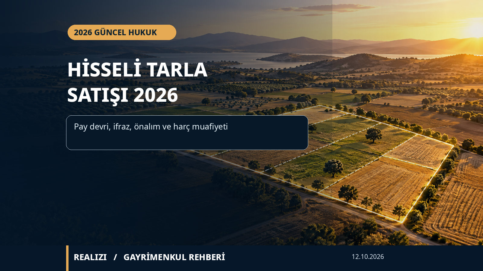 Hisseli tarım arazisinde örnek parsel ve pay sınırlarını temsilî olarak gösteren havadan arazi görseli